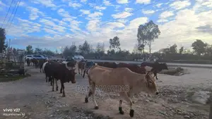 3/4 Land for Sale in Kitengela