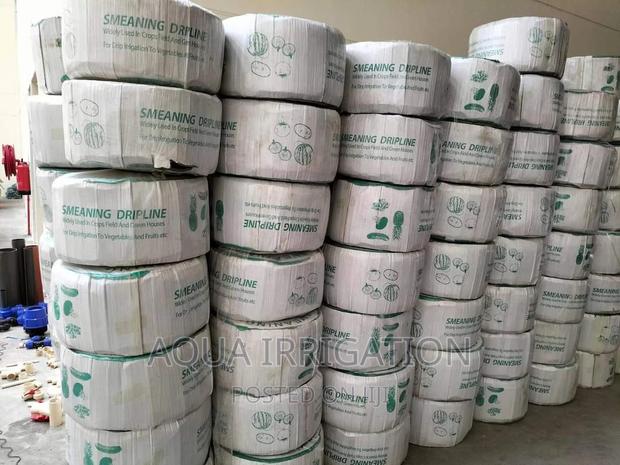 Onions Under Drip Irrigation System - main view