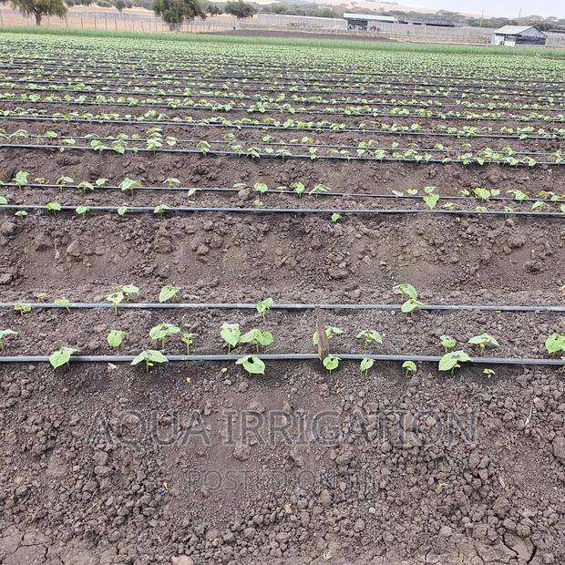 Drip Tape for Beans - main view