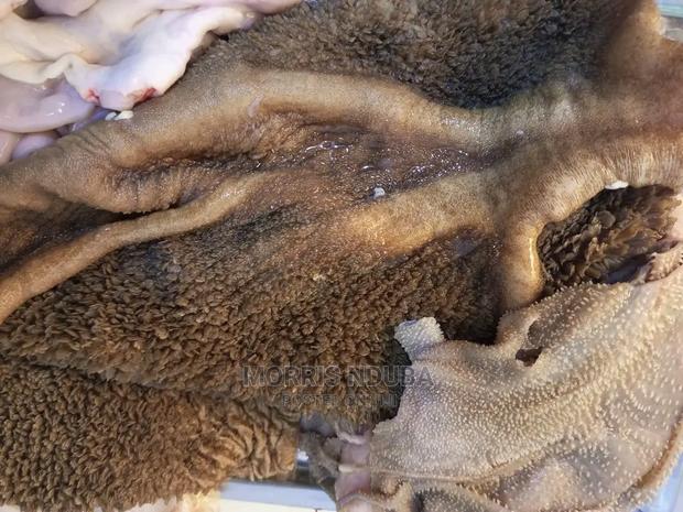 Matumbo Matumbo - thumbnail 3