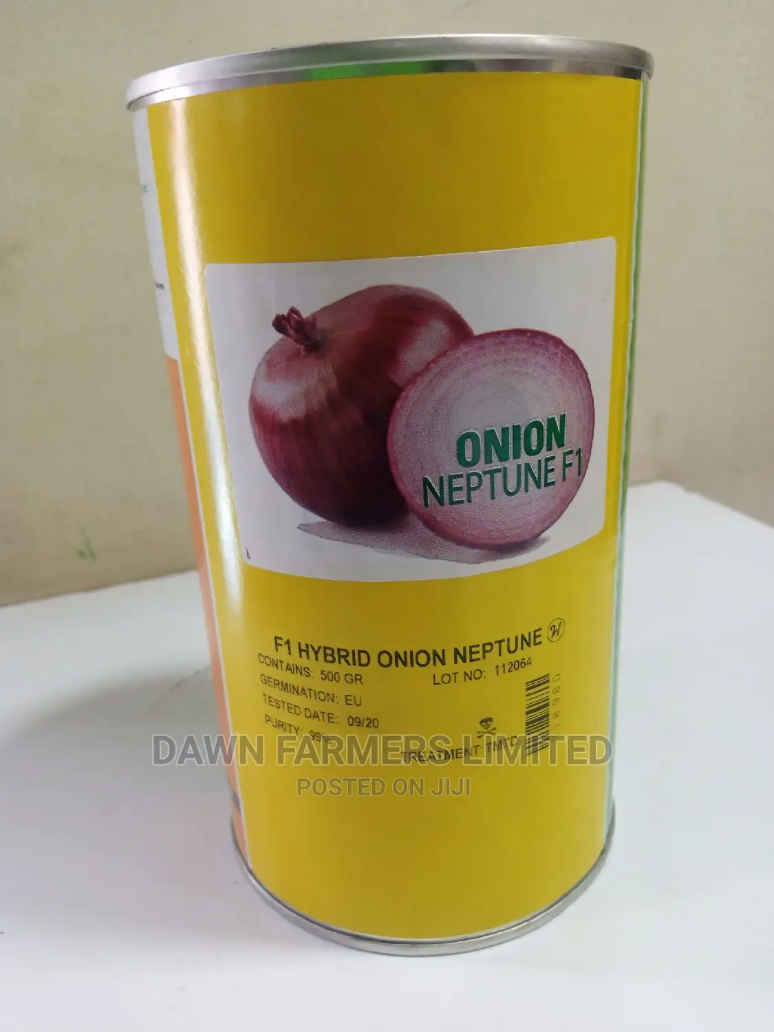 Onion Neptune F1 62500 Seed