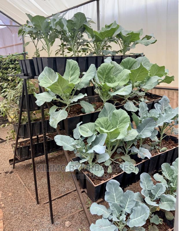 Vertical Stepped Garden 10 Crate - main view