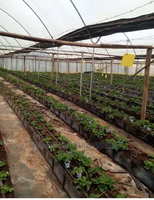 Mapal Troughs. Price Per Meter.