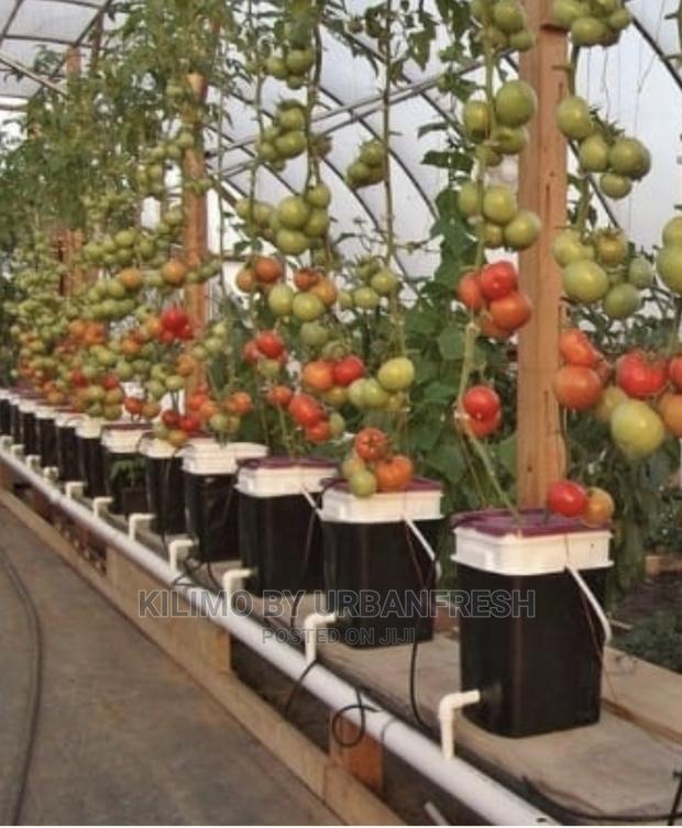 Dutch Bucket Planting Buckets 10L. Moq 10.
