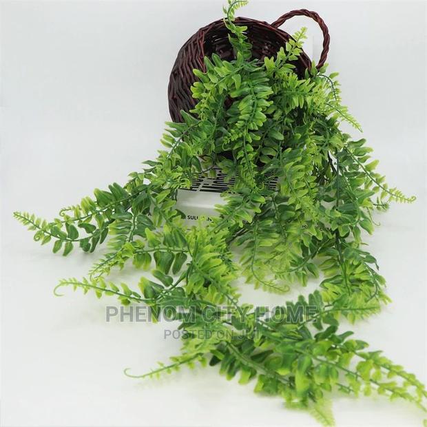 Hanging Vines - main view