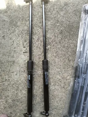 Safari Landcruiser Roof Shocks