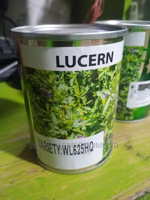 Lucern Seed Grass 50gms