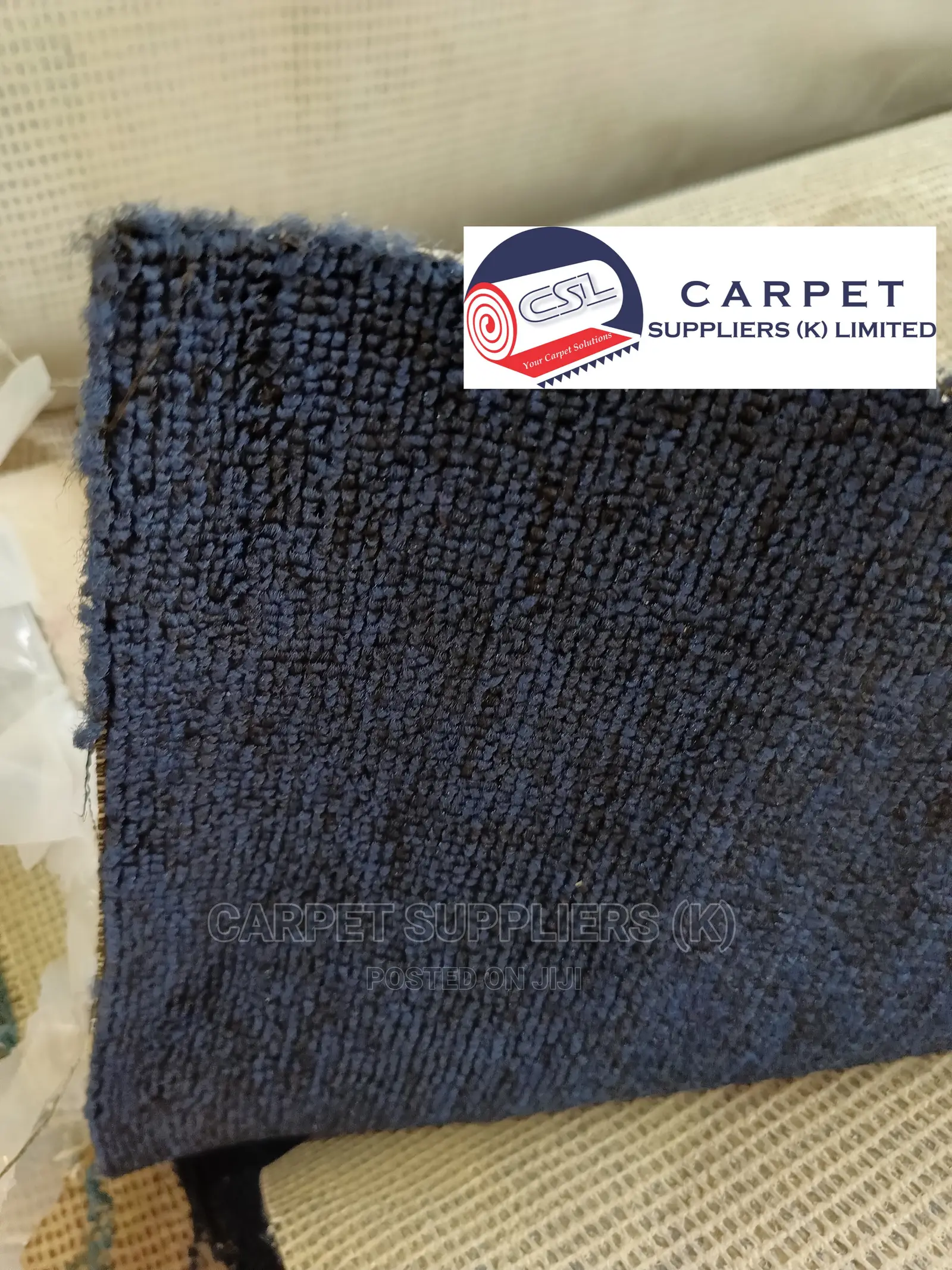 Blue Wall to Wall Carpet