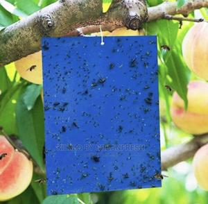 Blue Stick Tape. 10 Tapes. - thumbnail 2