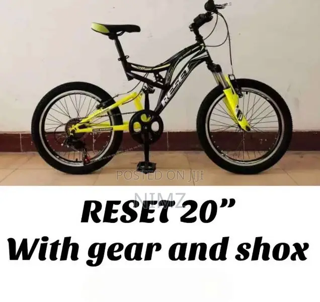 Premier 20 Inch MTB With Gear Bicycle