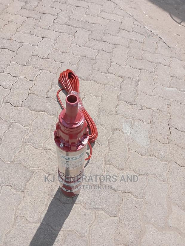 Solar Pump 60metre Head - thumbnail 2