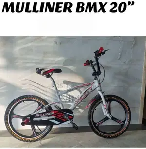 Milliner's 20 Inch BMX Kids Bicycle