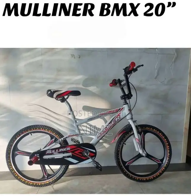 Milliner's 20 Inch BMX Kids Bicycle