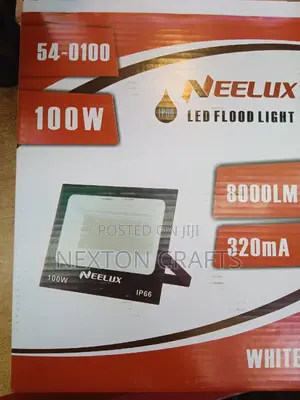 Neelux 100W Flood Light