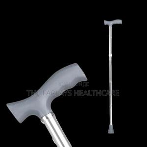 Walking Stick - thumbnail 2