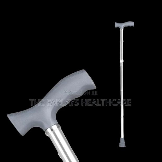 Walking Stick - main view