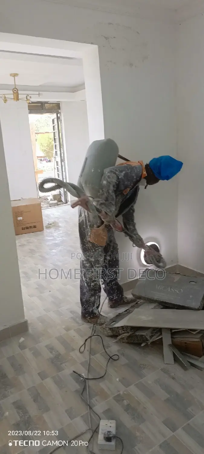 Professional Painter
