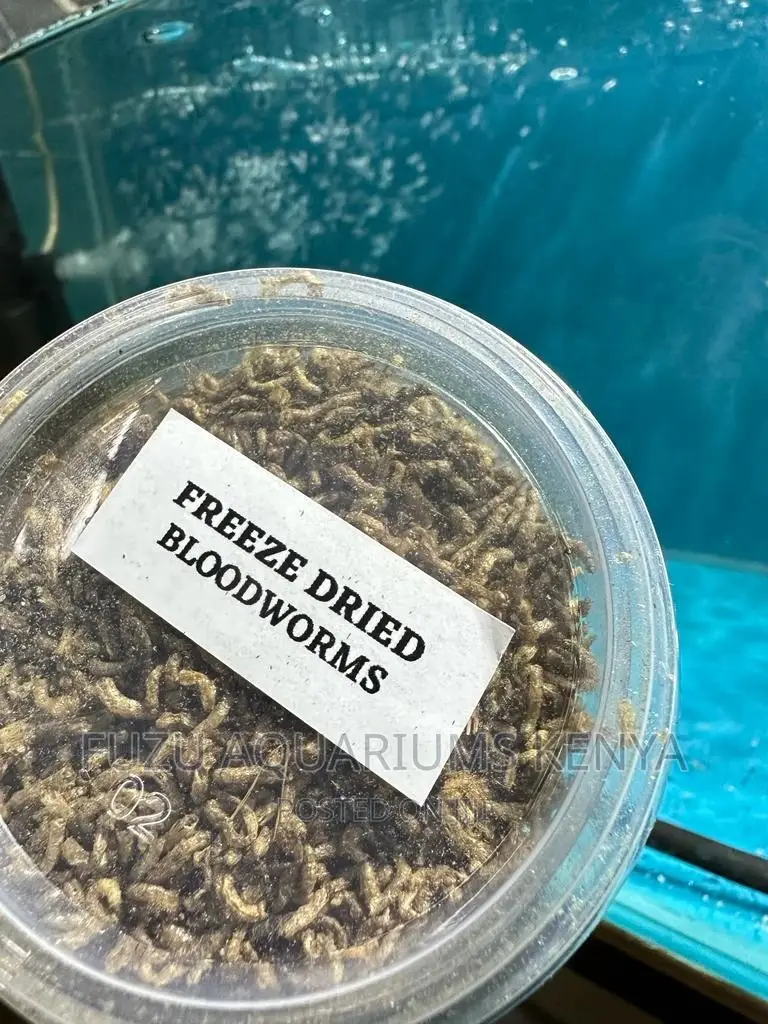 Quality Dried Bloodworms