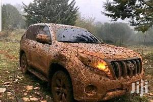 Car Hire Services