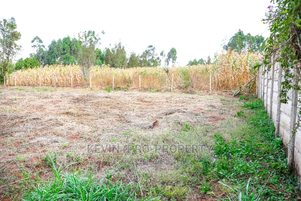 Prime Residential Plots In Kikuyu ,Gikambura.