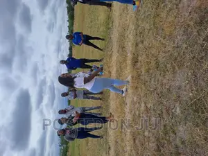 Kamulu Residential Plots at Mw^