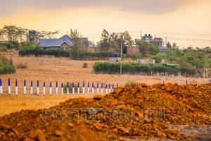 Hot Kamulu Prime Plots^Jm - thumbnail 2