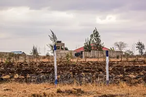 Hot Kamulu Prime Plots^Jm