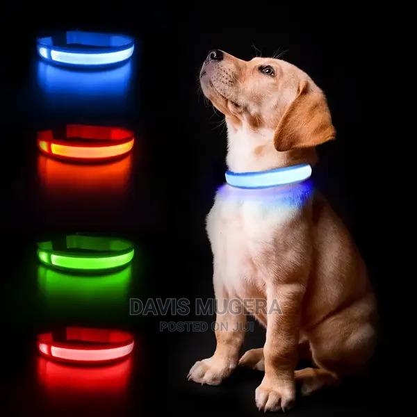 Customized LED Dog and Cat Collars USB Rechargeable - main view