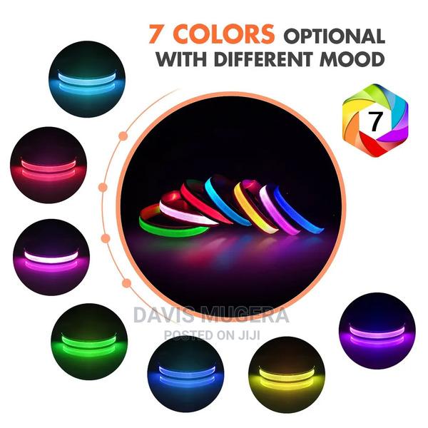 Customized LED Dog and Cat Collars USB Rechargeable - thumbnail 3