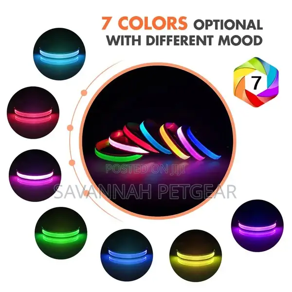 Customized LED Dog and Cat Collars USB Rechargeable