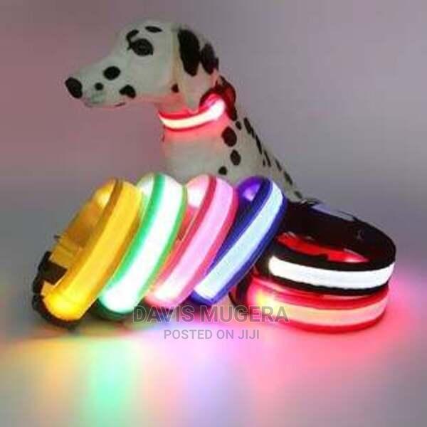 Customized LED Dog and Cat Collars USB Rechargeable - thumbnail 6