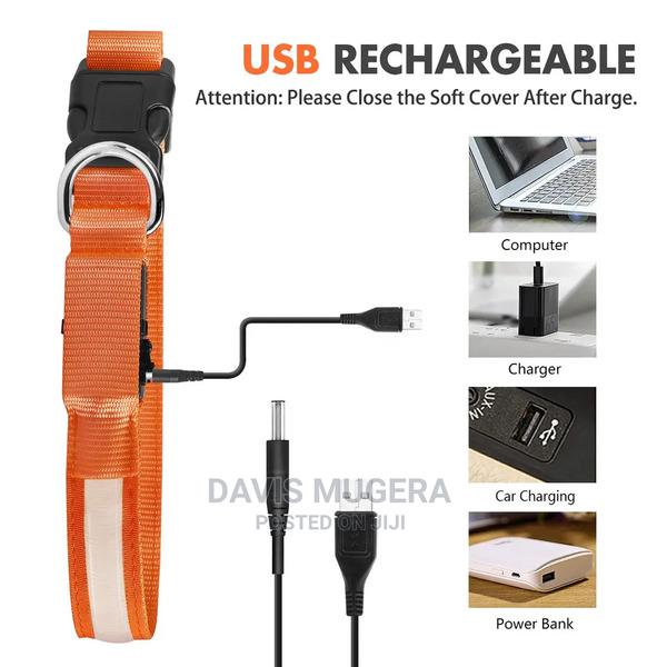 Customized LED Dog and Cat Collars USB Rechargeable - thumbnail 7