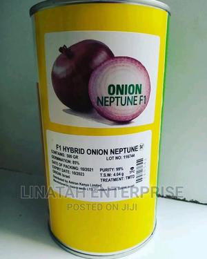 Neptune F1 500gms - thumbnail 2