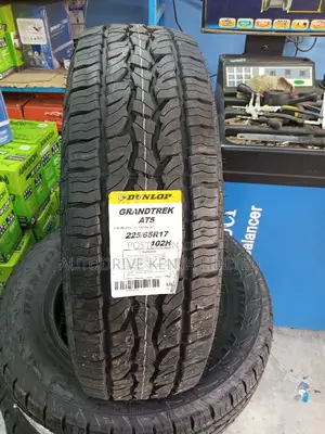 225/65r17 Dunlop Grandtrek All-Terrain