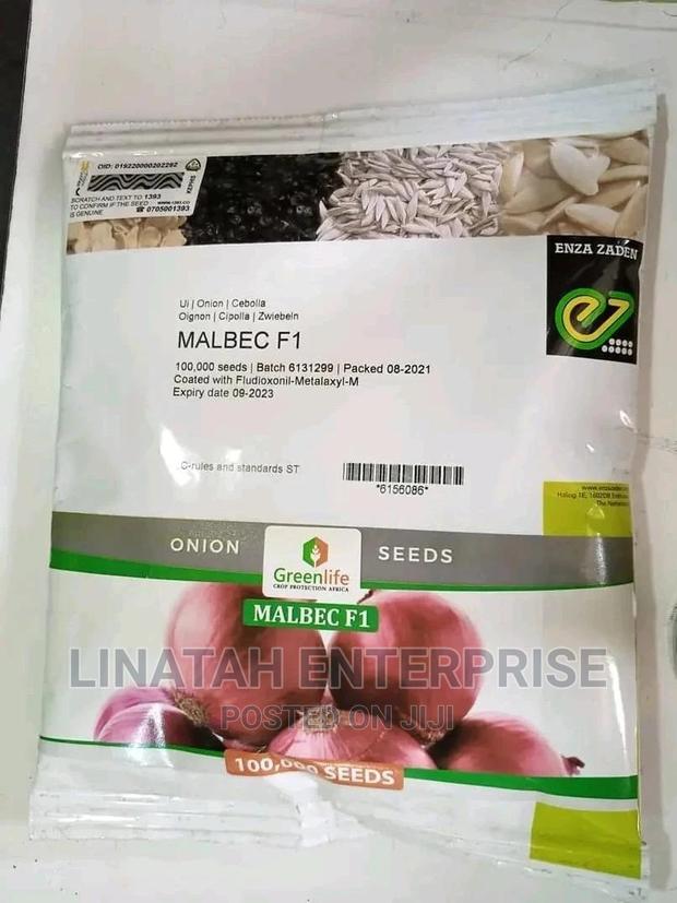 Malbeck F1 Hybrid Onion 100,000seeds (400gms )