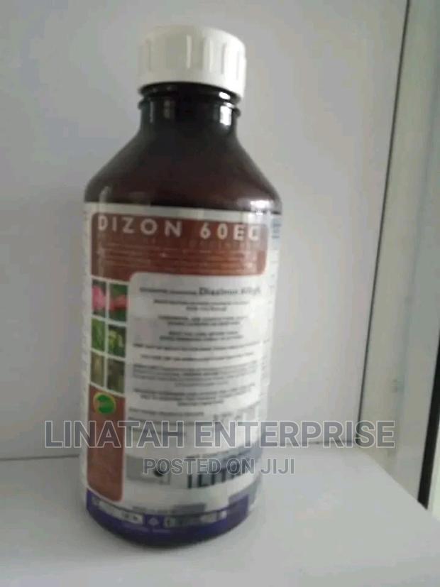 DIZON 1litre Insecticide - main view