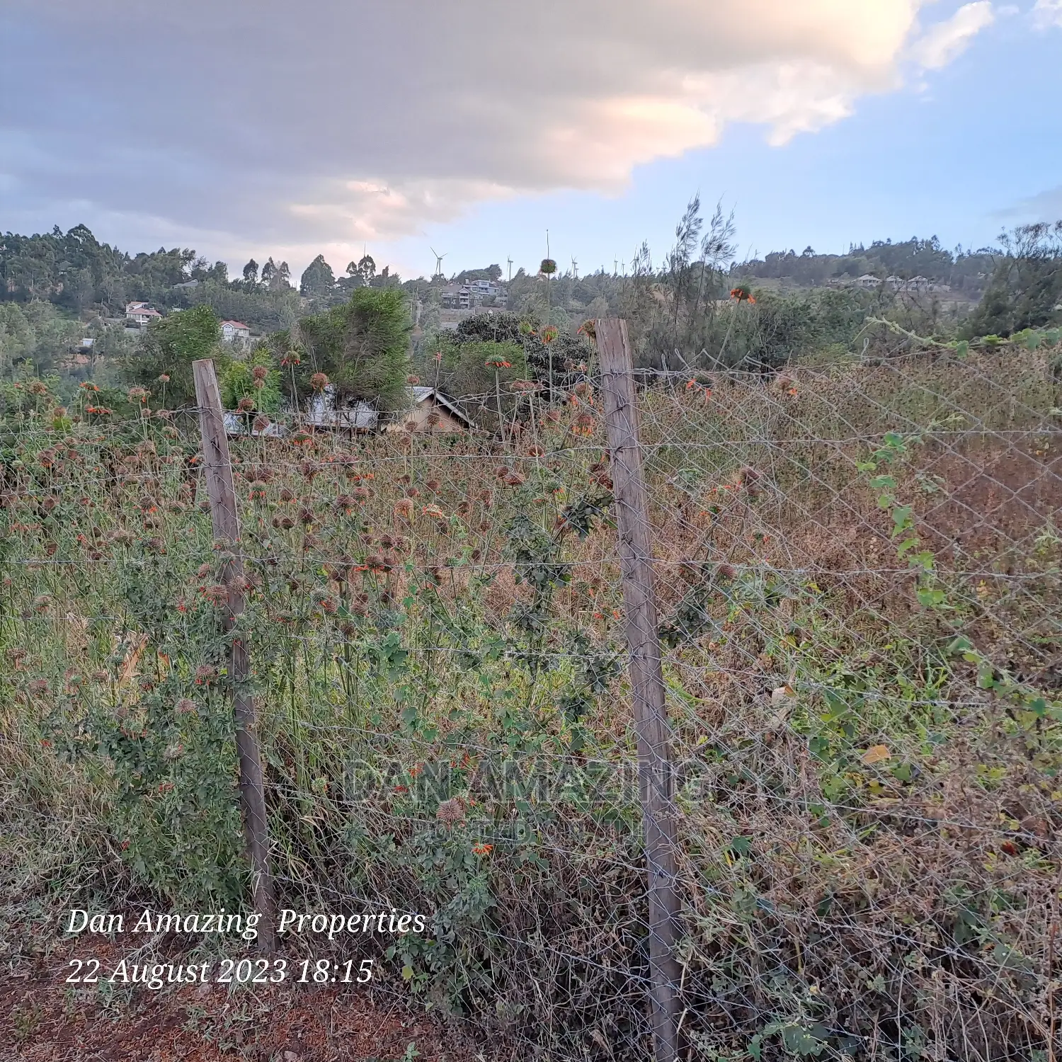 1/8 Acre Plot for Sale Ngong Few Meters From Tarmac