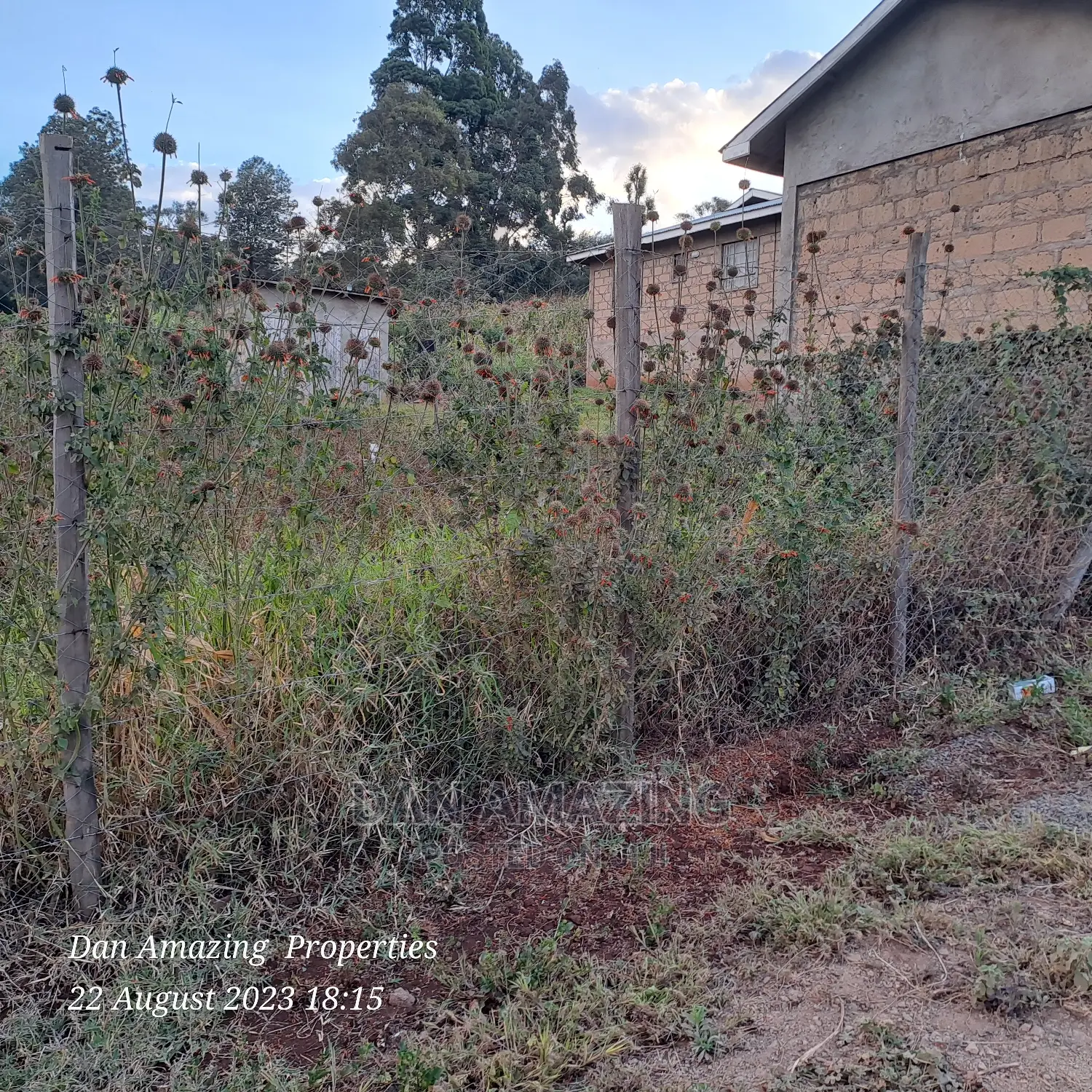 1/8 Acre Plot for Sale Ngong Few Meters From Tarmac