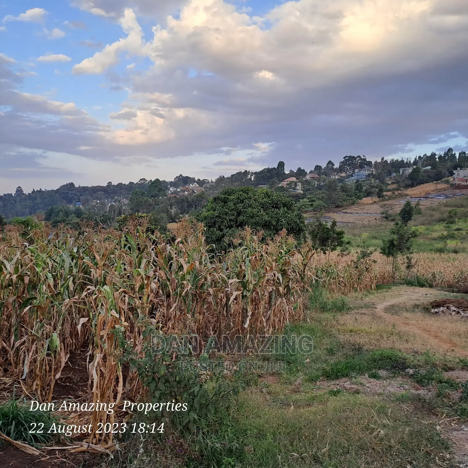 1/8 Acre Plot for Sale Ngong Few Meters From Tarmac