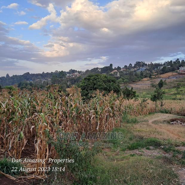 1/8 Acre Plot for Sale Ngong Few Meters From Tarmac - thumbnail 12