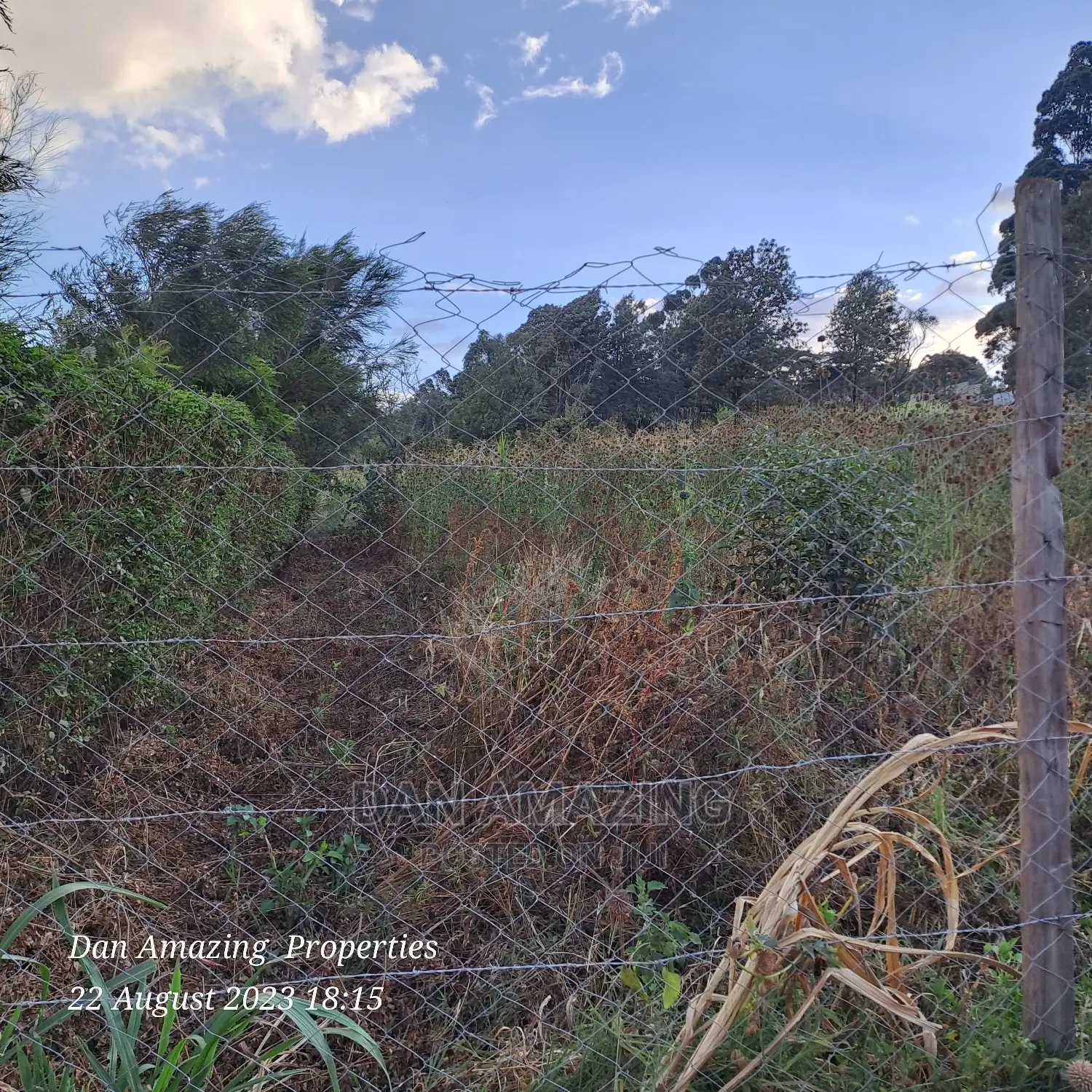 1/8 Acre Plot for Sale Ngong Few Meters From Tarmac