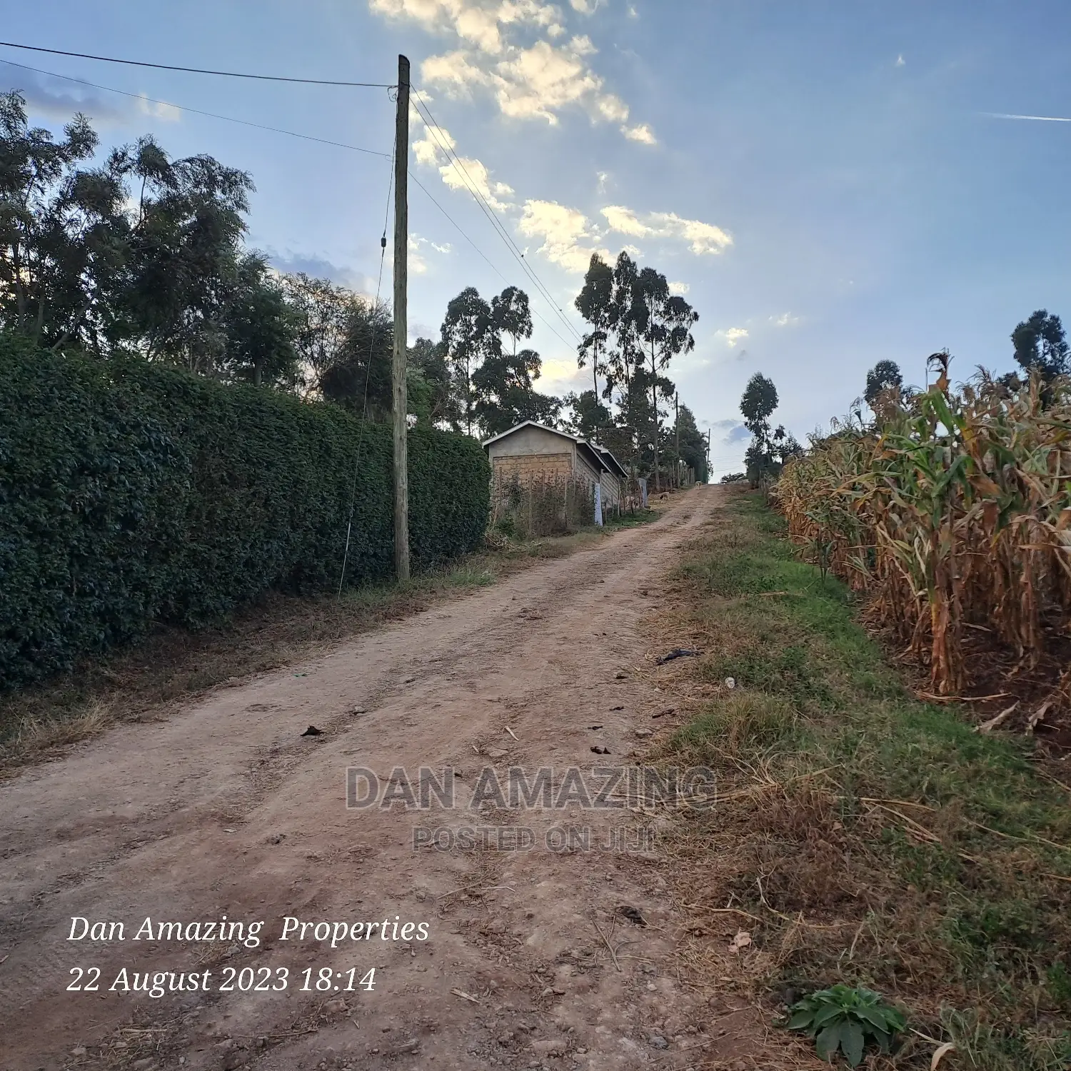1/8 Acre Plot for Sale Ngong Few Meters From Tarmac