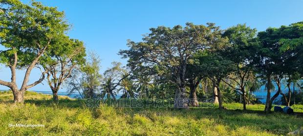 Serena,Go Kart 20.5 Acres Beach Plot on Sale - thumbnail 16