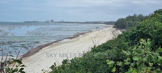 Serena,Go Kart 20.5 Acres Beach Plot on Sale - thumbnail 17