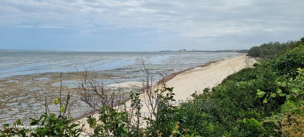 Serena,Go Kart 20.5 Acres Beach Plot on Sale - thumbnail 19