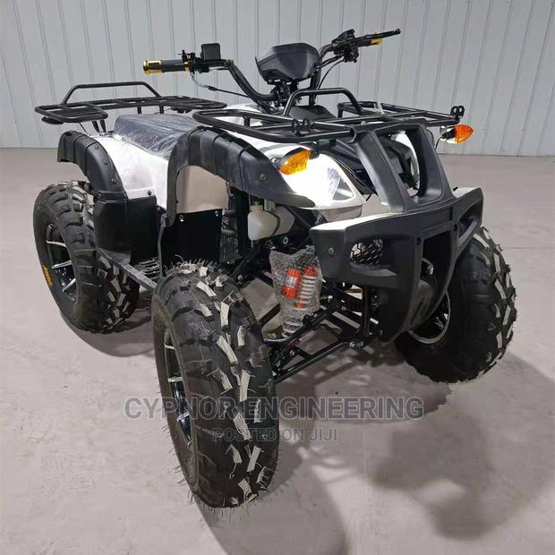 Theme Park ATV