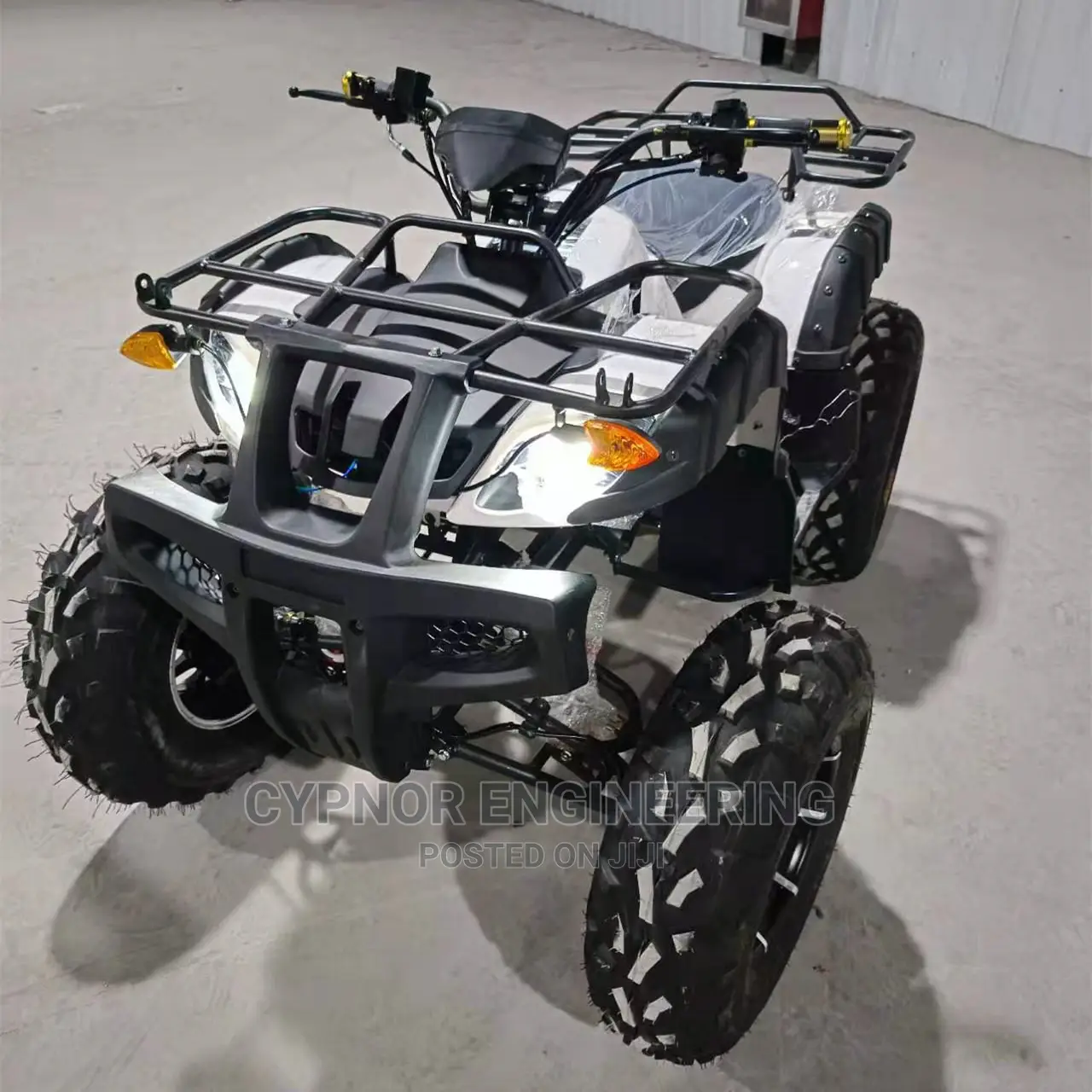 Theme Park ATV