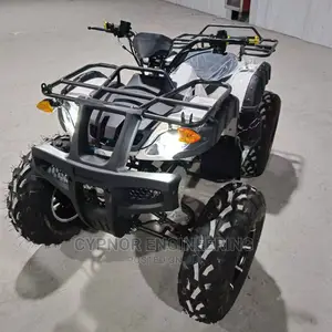 Theme Park ATV