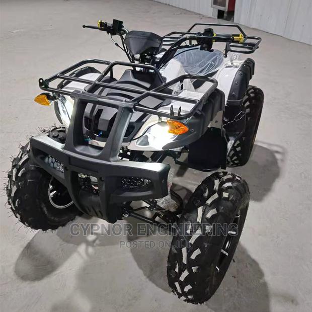 Theme Park ATV - thumbnail 2