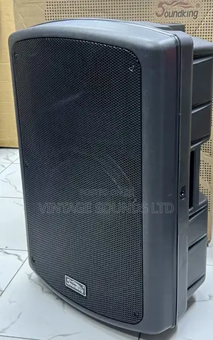 Soundking FP-215 15′′ Passive Midrange Speaker